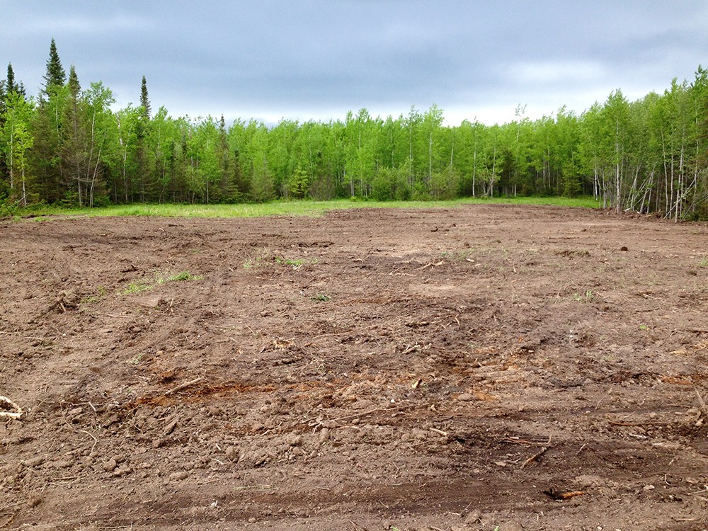 Site Clearing 1