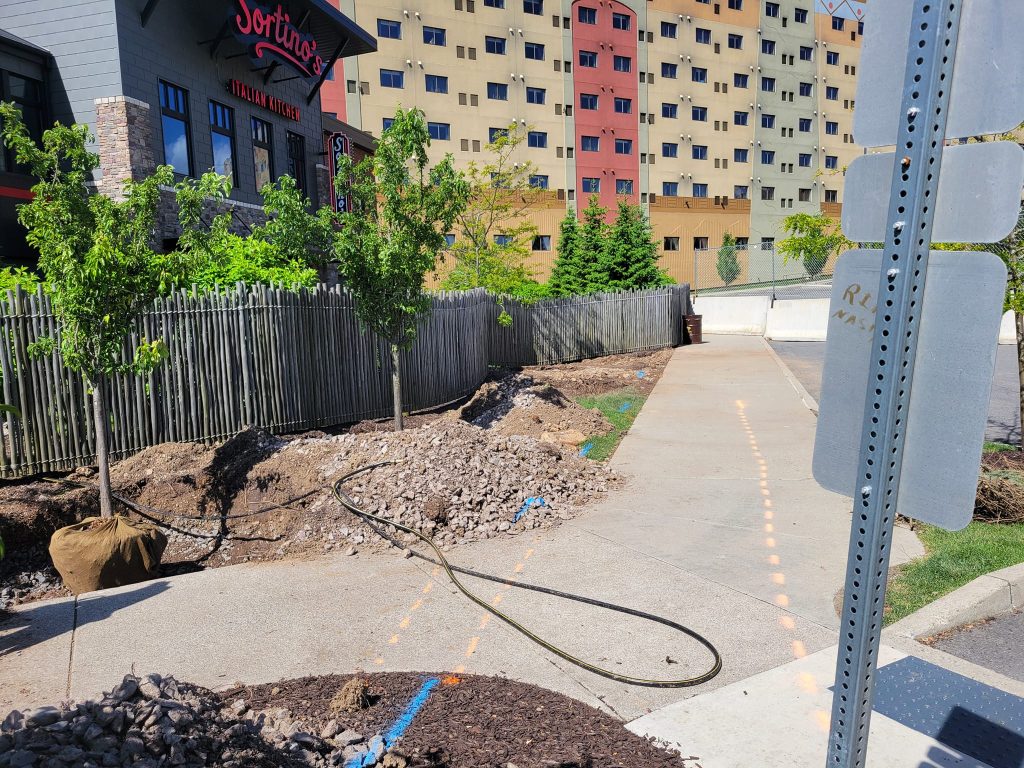 exposed wire of Italian restaurant